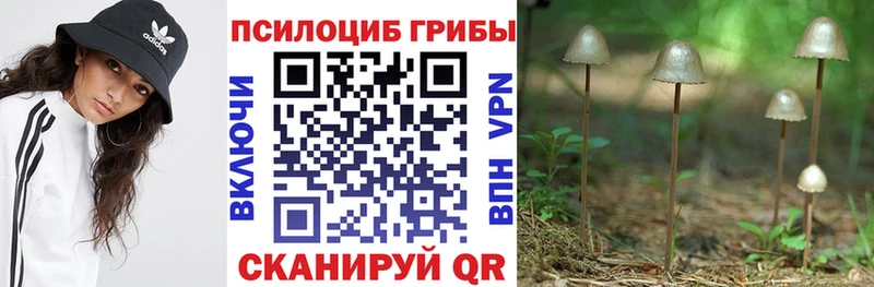 Галлюциногенные грибы мицелий  Купить где  Голицыно 